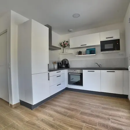 La Foret D'armotte * Saint-Augustin (Charente-Maritime)