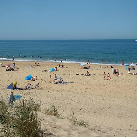 La Foret D'armotte Villa *